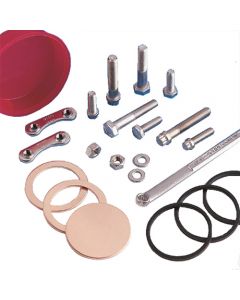 12-Pt, Bolt/Plate Nut, 1.25" Length (24 Screws/12 Plate Nuts Per Pack)